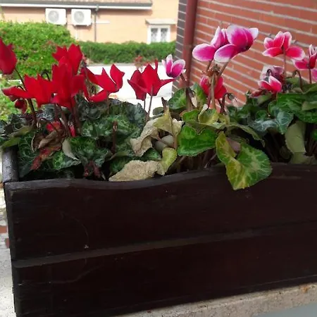 Bed & Breakfast Dioscuri Townhouse Fiumicino